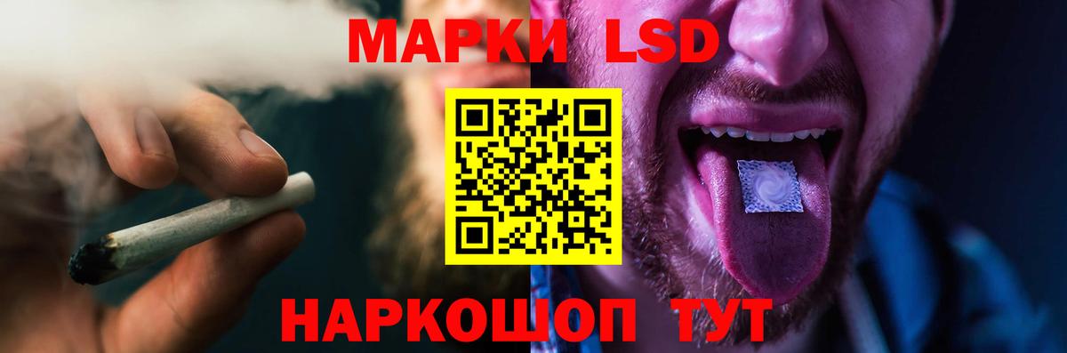 A PVP Гатчина