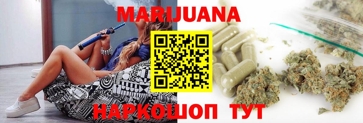 Конопля гибрид Гатчина